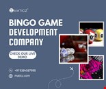Bingo Game Development | Maticz
