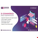 E-Commerce SEO Services in India