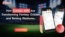 Reliable Cricket API Provider for Live Scores & Fantasy Apps
