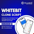 Start Trading Like a Pro – Get Your WhiteBIT Clone Today!