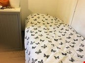 room share to let @ E13 9DA all bills inclusive 3 minute upton park station zone 3 available now !!