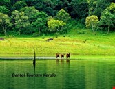 Affordable Dental Tourism in Kerala