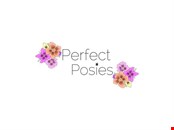 Perfect Posies Online Florist Thanet
