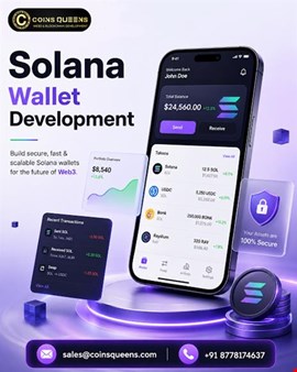 Affordable Solana Wallet Development – August End Sale 