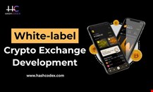 Get a Free Demo of Our White Label Crypto Exchange Today!