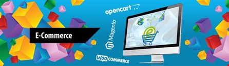 Website and Software Development Services