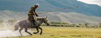 Best Private and Group Tours to Mongolia