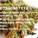 Busty Brunette 36FF❤Maybe it's time to get a nice massage and restart fresh★Specia