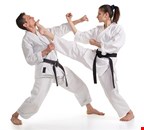 Taek-Won-Do (TKD Training)