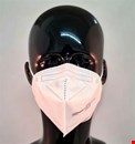 Shop Low Price FFP2 Disposable Face Mask Online