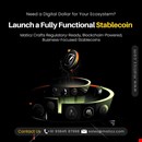 Looking to Launch Your Own Stablecoin? We Can Help! | Maticz