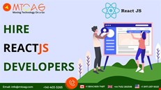 hire reactjs developers