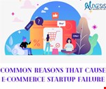 Create unique WordPress websites with professional help from Auxesis Infotech