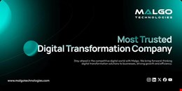 Expert Digital Transformation Solutions for Future-Ready Businesses