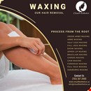Waxing Services in Gainesville, Manassas | Beauty Care Services