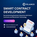 Enterprise-Grade Smart Contract Development Services by Hivelance