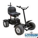 Titan Club Buggy for Sale