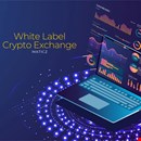 White Label Crypto Exchange | White Label Crypto Exchange Software | Maticz