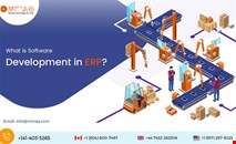 Custom ERP software development