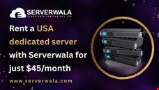 Rent a USA dedicated server with Serverwala for just $45/month