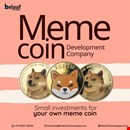 How might users profit from having the meme coin
