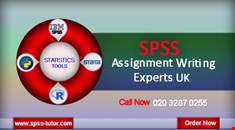 Assignment/ Dissertation/ Essay/ Tutor/ SPSS/ Writing Help