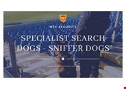 SPECIALIST SEARCH DOGS - SNIFFER DOGS ( Billericay, Essex )