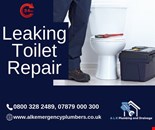 Leaking Toilet Repair