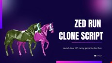 Zed run clone-Launch horse racing game like Zed Run 