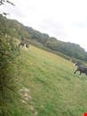 LIVERY, NEAR BATTLE. £60