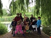 Wild Wednesdays - Step into the Stone Age