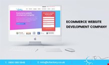 Professional Ecommerce Website Design