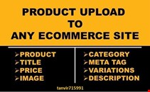 I will do data entry or product listing job