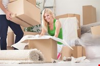Removal and delivery service in all UK!