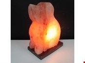 Himalayan Salt Lamp Animal-Shaped Like A Dog - On Wooden Base in Skegness