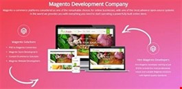 Magento Web Development Company