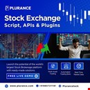 Plurance’s Stock Exchange Script – The Ultimate Solution for Successful trading