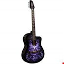 Buy Acoustic Guitar Online | Rogue Guitar Shop