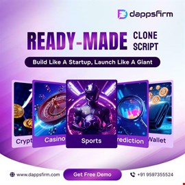 Ready-Made Clone Script for Entrepreneurs Who Want to Start Smart and Fast