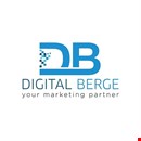 Best SEO Agency in INDIA - DigitalBerge