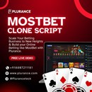 Seize the Deal: Up to 17% Off Mostbet Clone Script Until Jan 5th!