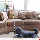 Indoor Tether Tug Toy for Dogs