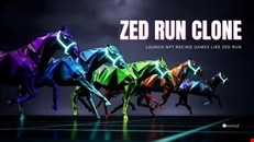 Zed run clone-Develop horse racing game like Zed Run 