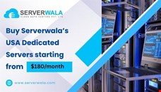 Experience the Benefits of Serverwala's Netherlands Dedicated Servers