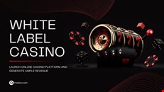 White label crypto casino 