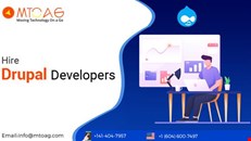hire dedicated drupal developer