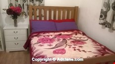 Large double bedroom to-let