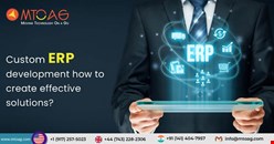  Custom ERP development