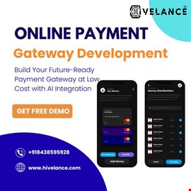 Custom Online Payment Gateway Development Solutions – Hivelance