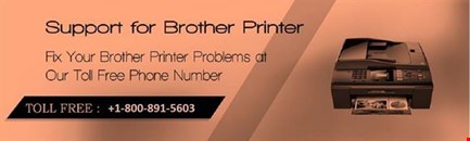 1-800-891-5603  | Printer troubleshooting support number